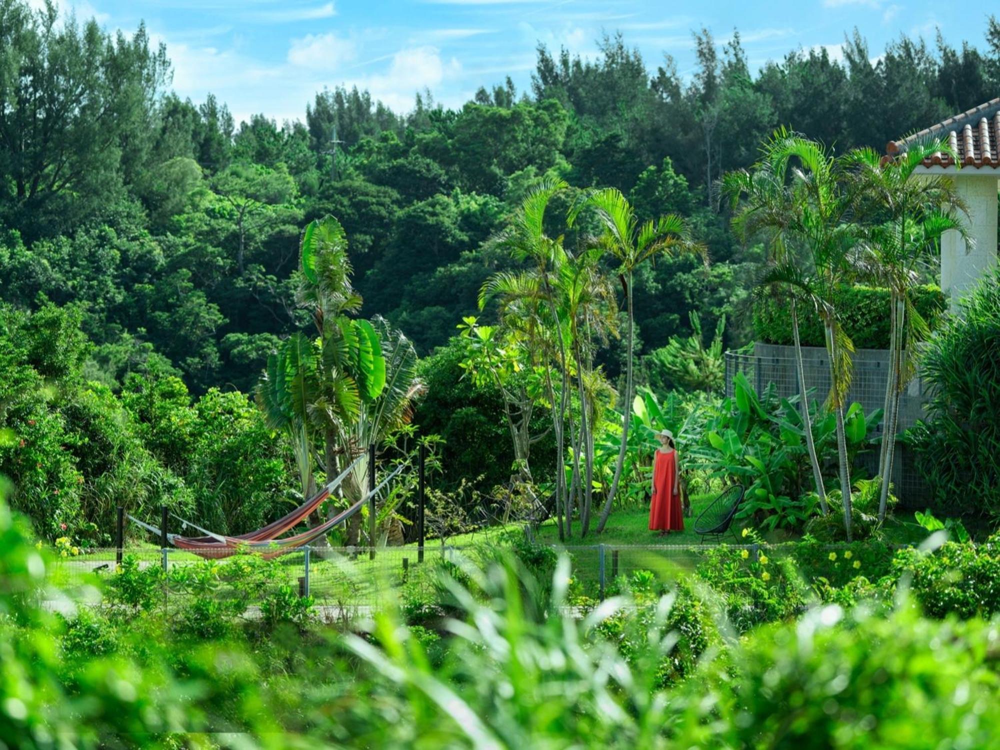 Oriental Hotel Okinawa Resort & Spa Nago Dış mekan fotoğraf A view of the forest from the house